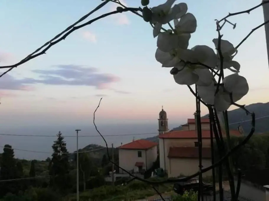 Dolci risvegli appartamento vista mare