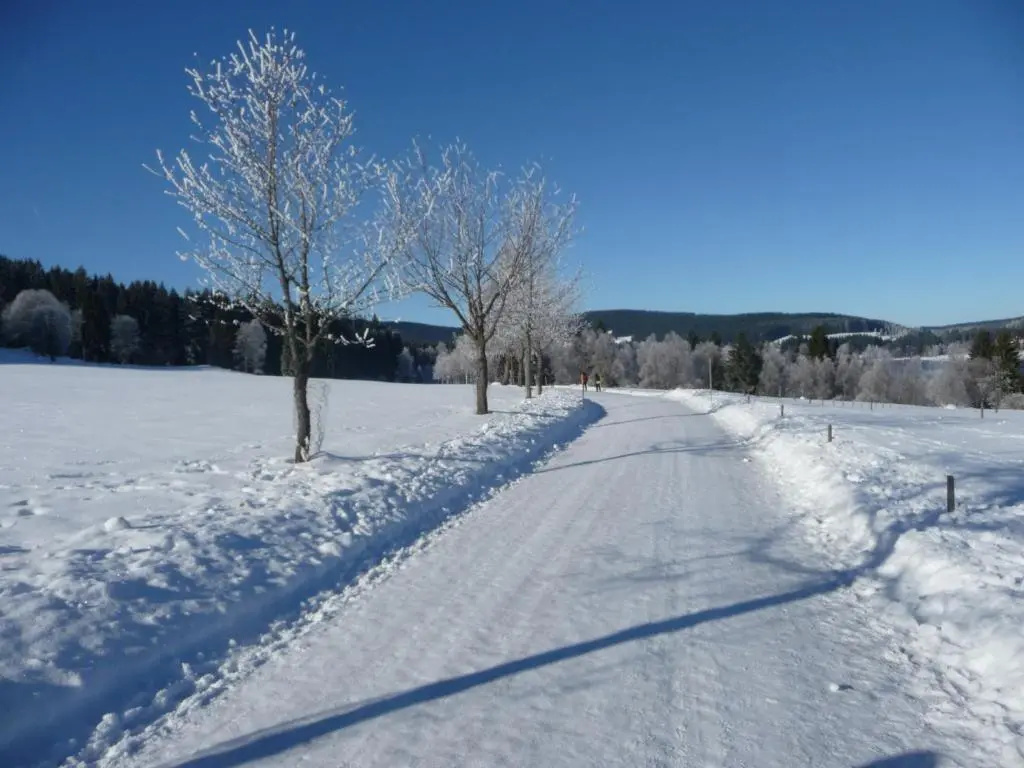 Bio- und Wellnesshotel Alpenblick