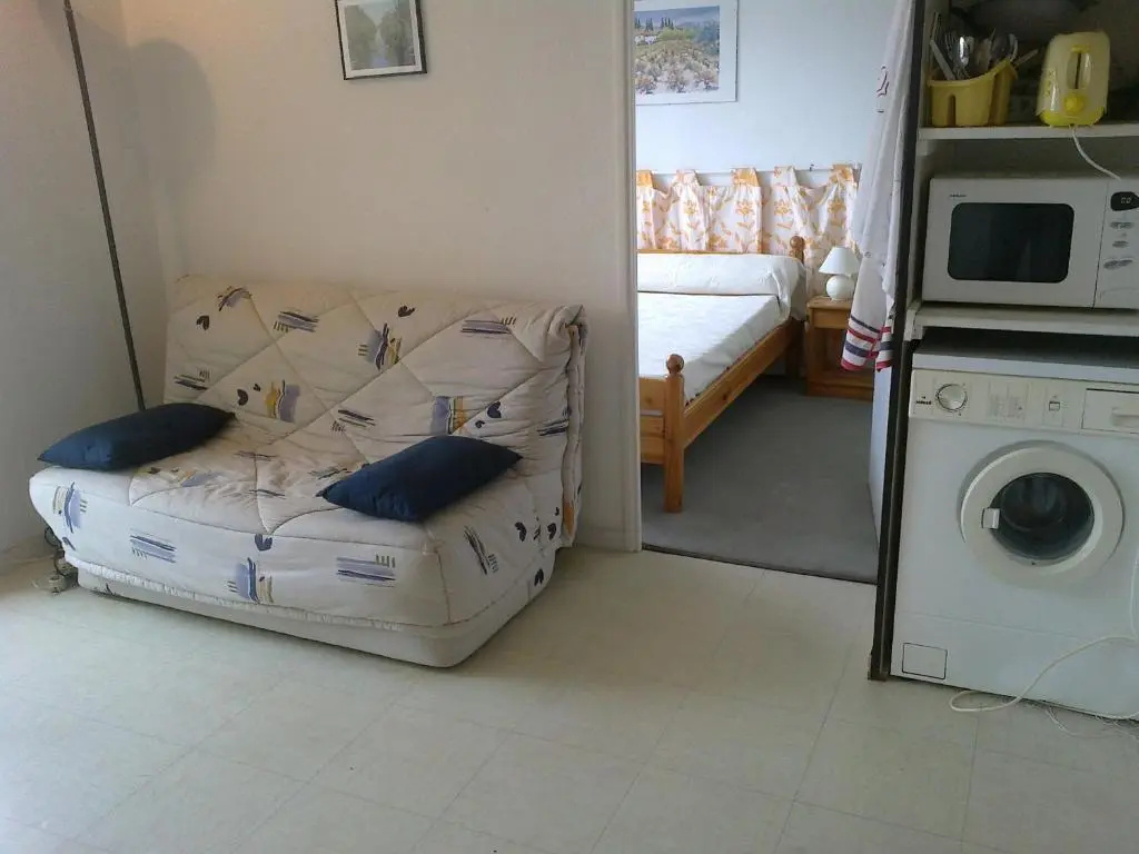 Appartement Arcachon, 2 pièces, 4 personnes - FR-1-319-9