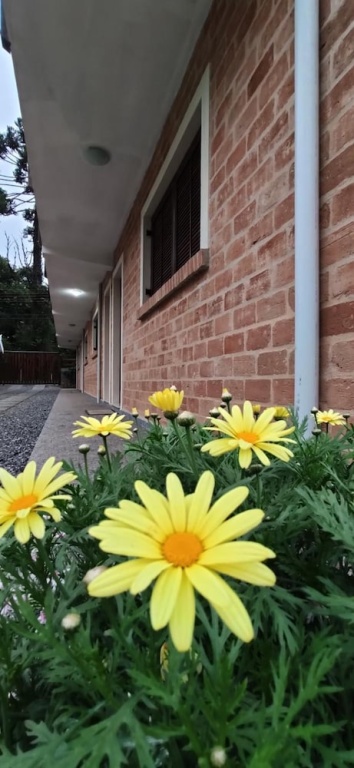 Vila Velasco