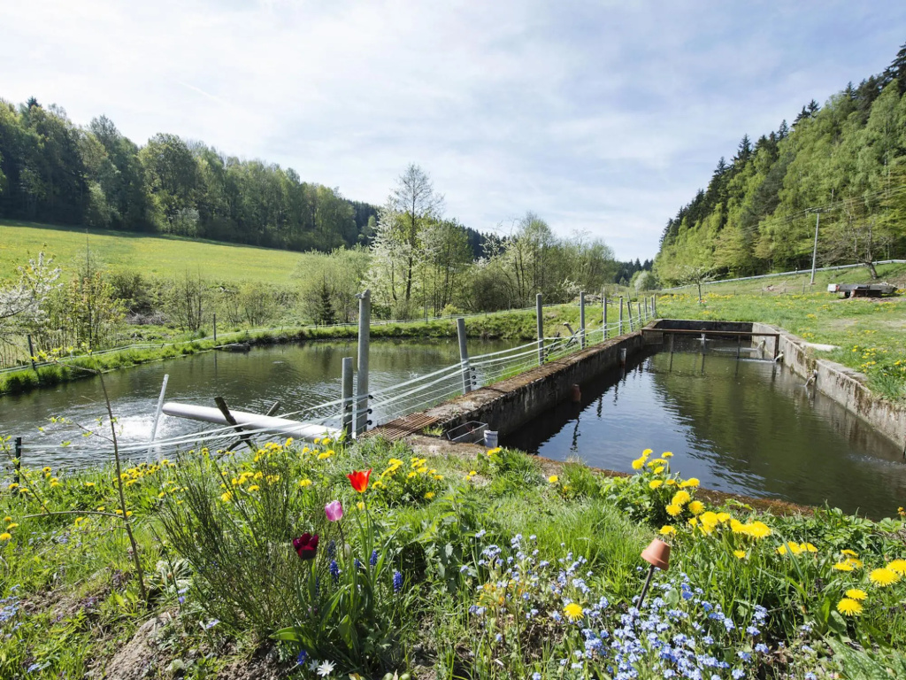 Apartment in Schonsee Near Lake Beach