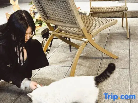 Yunbo Light Luxury Homestay (Dali Ancient City South Gate Branch)