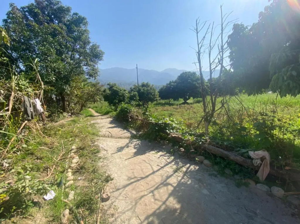 Lushy Days Boom Camps, Tanakpur (Riverside Luxury Camps)