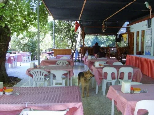 Adrasan Gelidonya Hotel