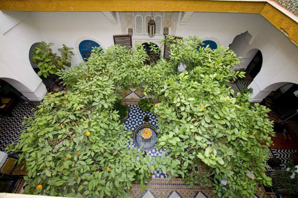 Ryad El Borj
