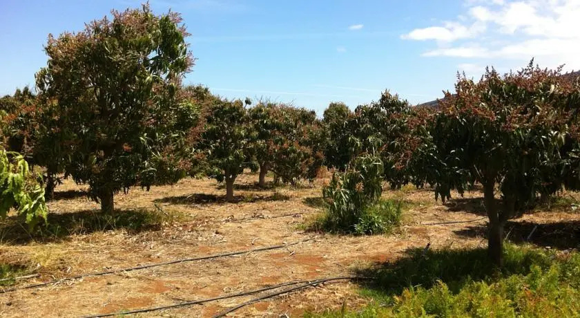 Finca Biologica