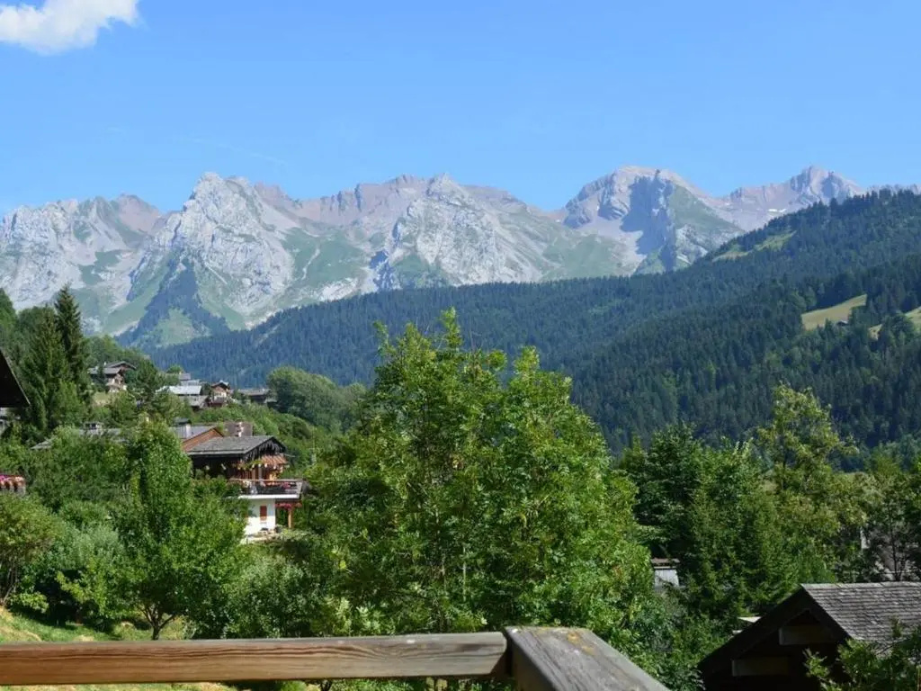 Appartement ensoleillé 3 pièces - 6 pers avec cheminée au Grand Bornand, proche des pistes - FR-1-241-117