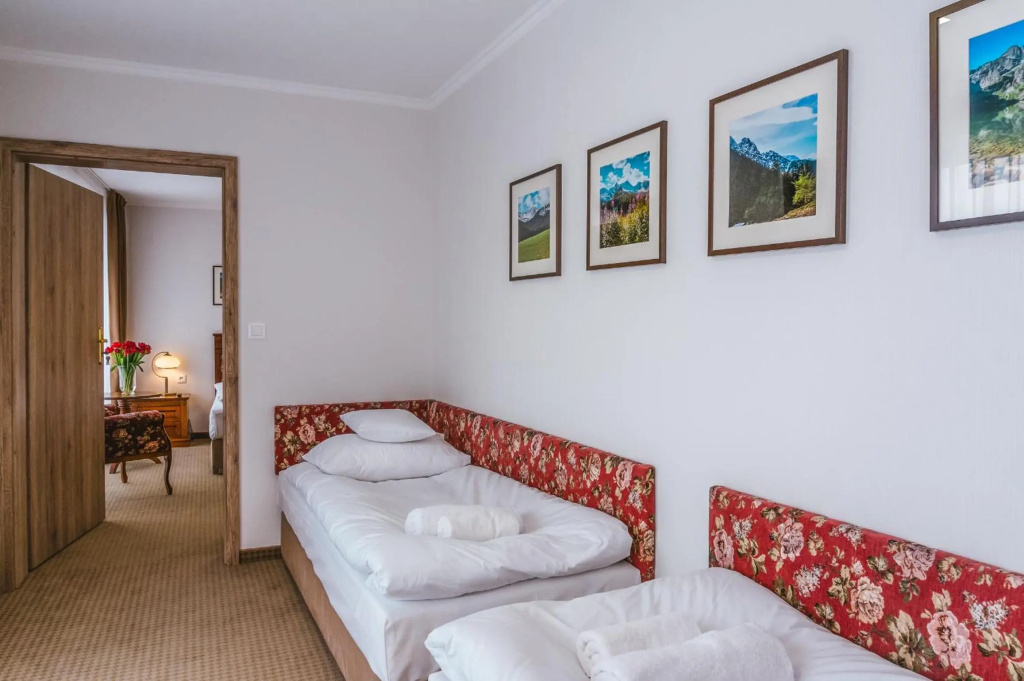 Hotel Paryski Art & Business Zakopane - Basen Jacuzzi Sauna Małpi Gaj