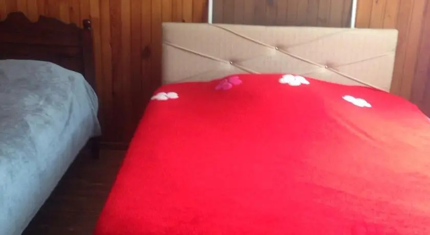 Guest House Gatenadze
