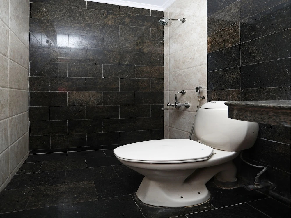 OYO 14687 Hotel Avtar