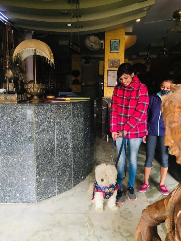 Hotel Meenakshi Udaipur - Family Preffered Hotel