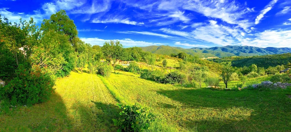 Wild Boar Mountain, Luxury Escape & Stunning Views