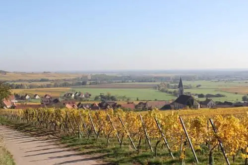 Gites Chez le Vigneron