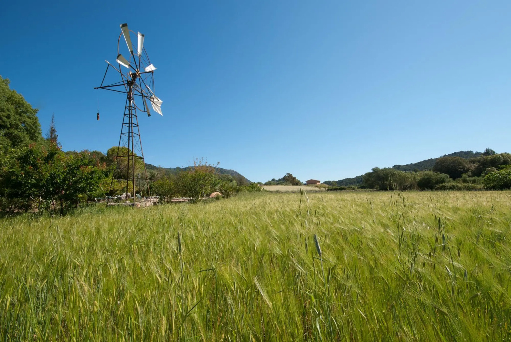 Hort Den Gelos in Pollensa / Pollença