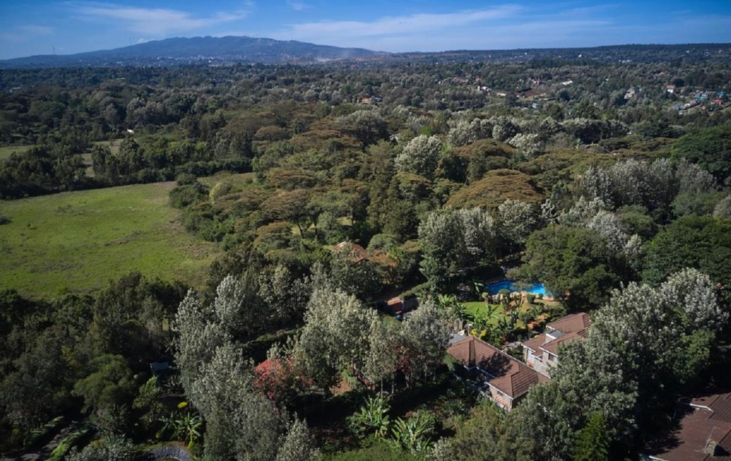 The Drexel House Kenya