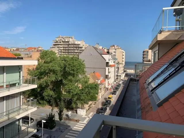 Gaudi 505