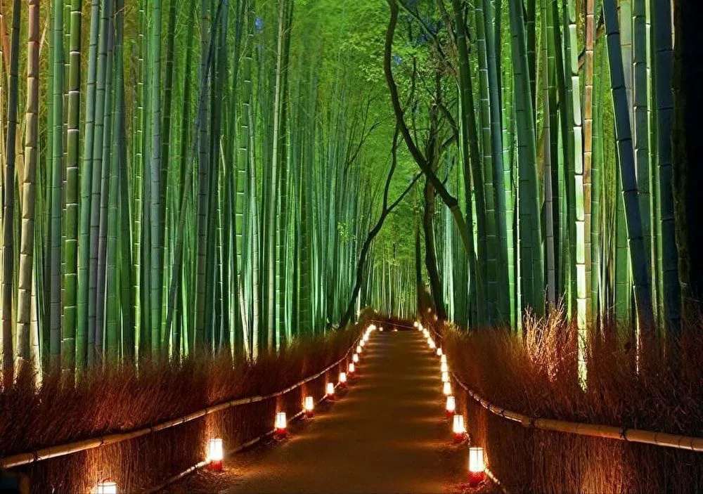 Kyoto Hyakujyuan