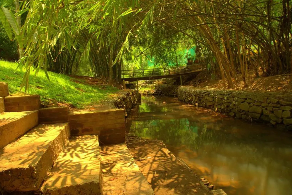 Bamboo Creek Resort