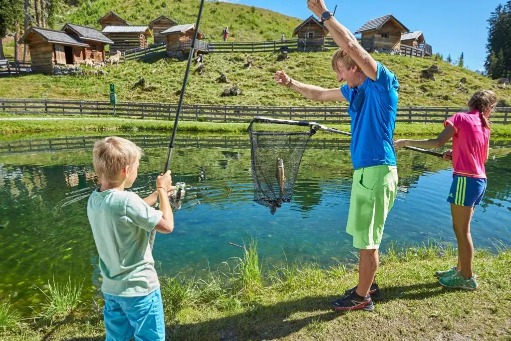 Alp Chalet Appartement
