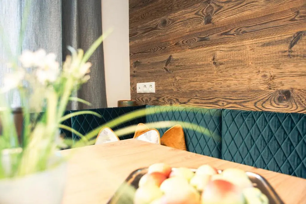423 penthouse apartment Mayrhofen