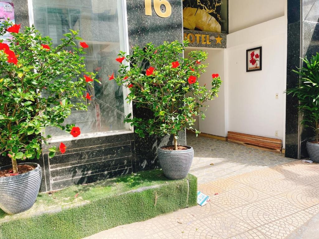 GreenHome Hotel