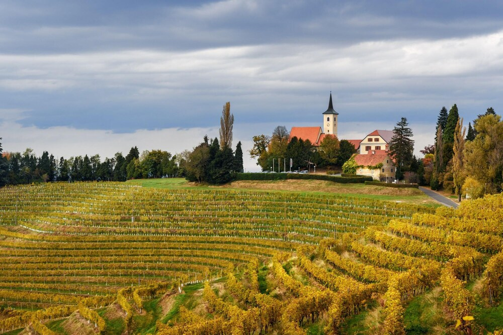 Podhamer Wellness Vineyard Cottages