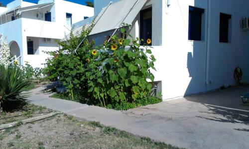 Iro Apartments