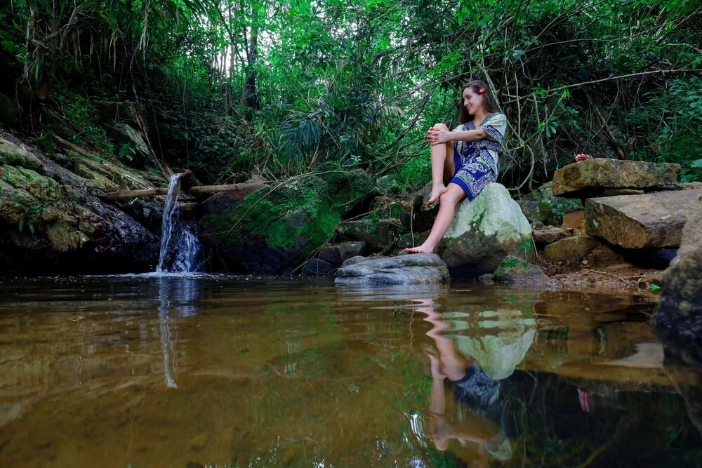 Treehouse Chalets - A Curated Experience of Unique Waterfall Treks and Scenic Hikes