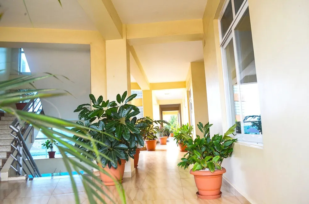 Selina Apartments