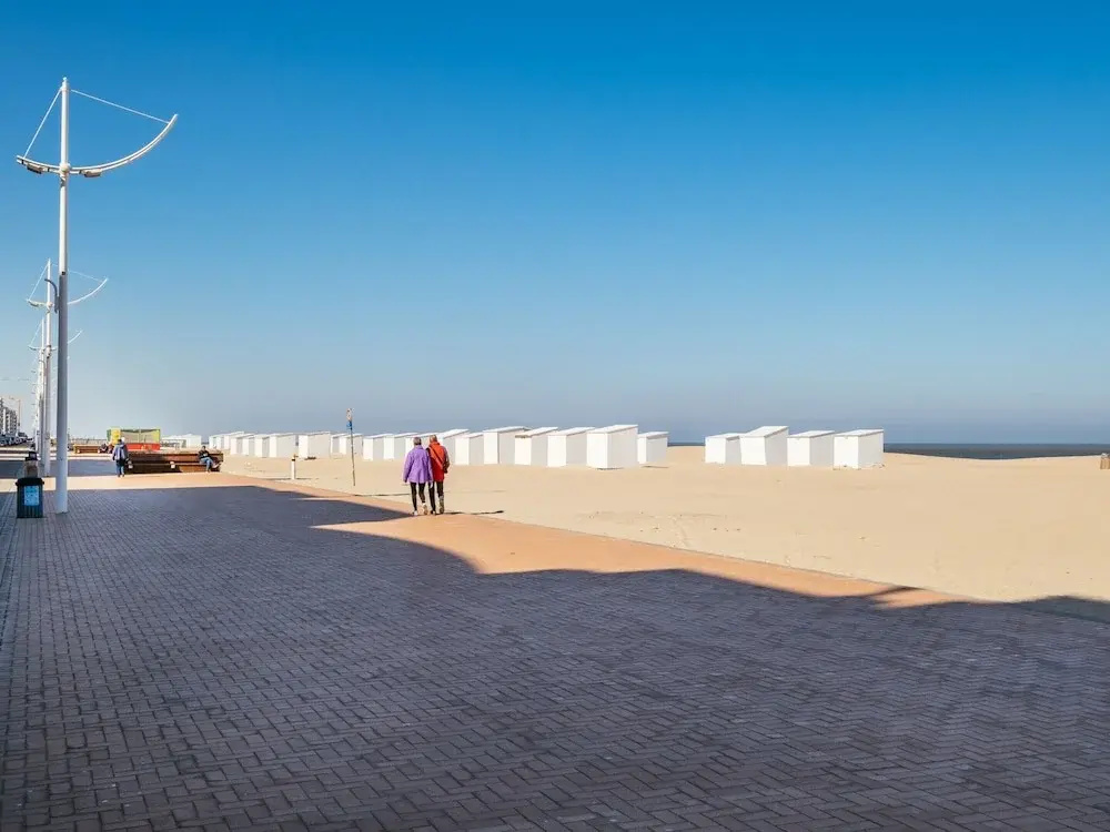 Apartment Near Dunes With Sea View