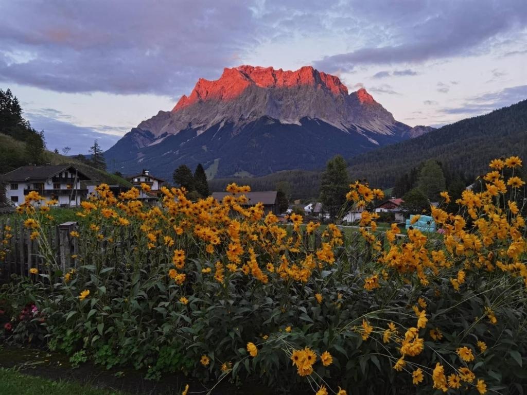Alpinum Hostel Biberwier - Günstige Privatzimmer in der Zugspitz Arena