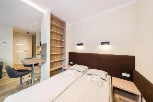 Luxury apartment Old Town Rakowicka street