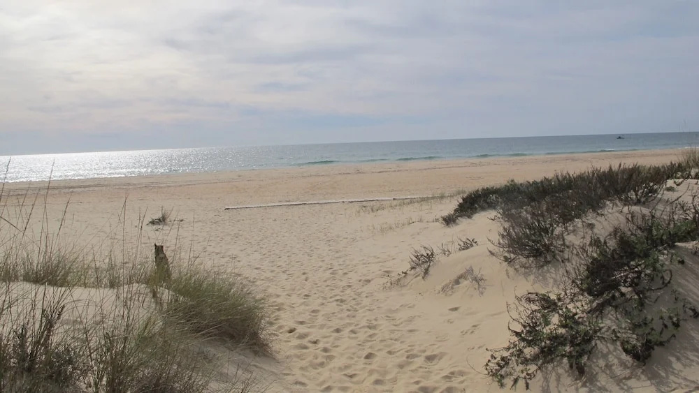 Apartment Praia Lota, w Pool, Wifi, sea View, Close to Beach, dog Friendly