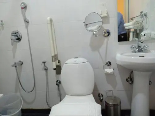 Hotel Narendra Central