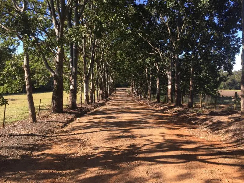 Blackwattle Farm B&B