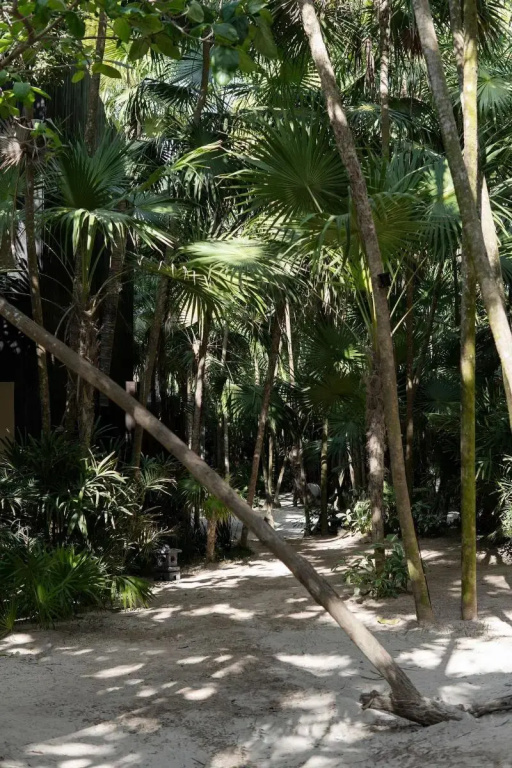 UMi Tulum