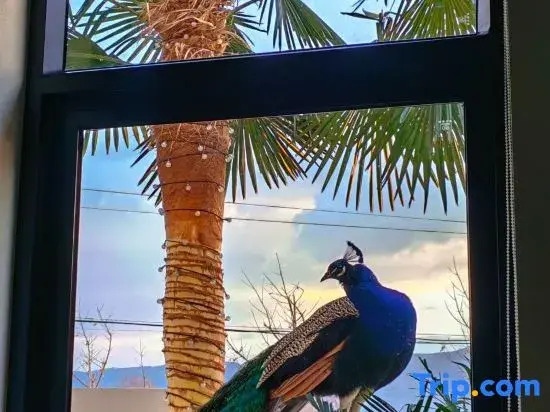 Dali Yuxuan Homestay