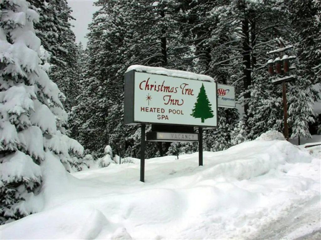 Christmas Tree Inn