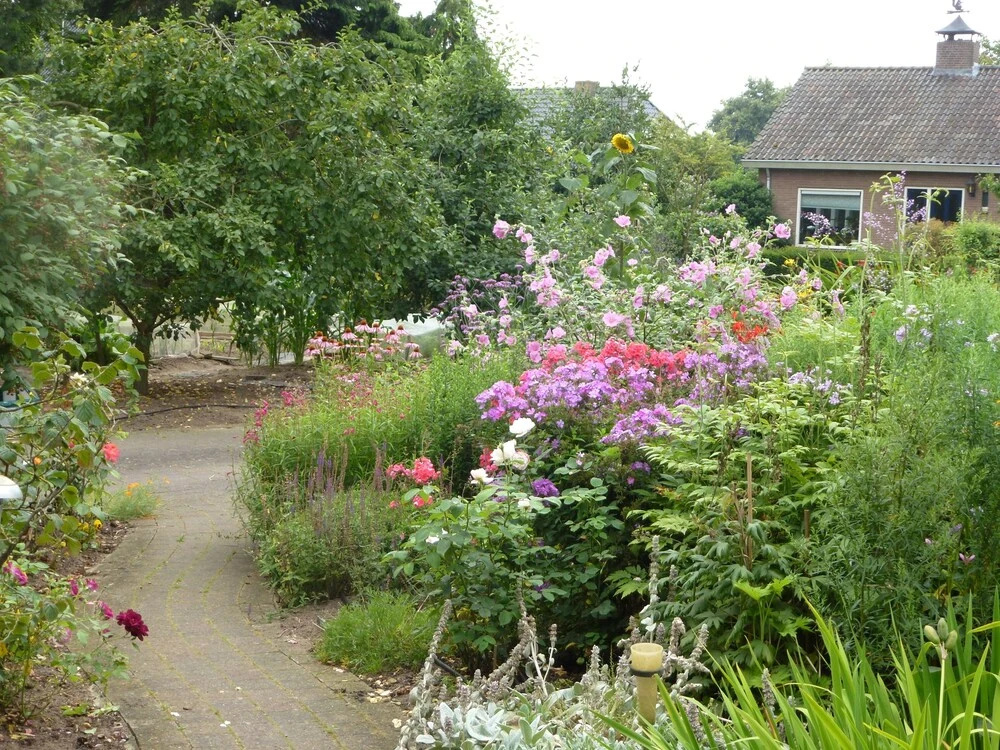 B & B Familie Van Vliet