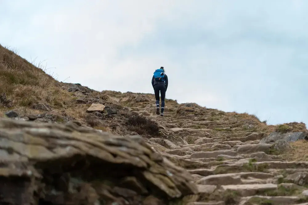 Become Wild, Edale