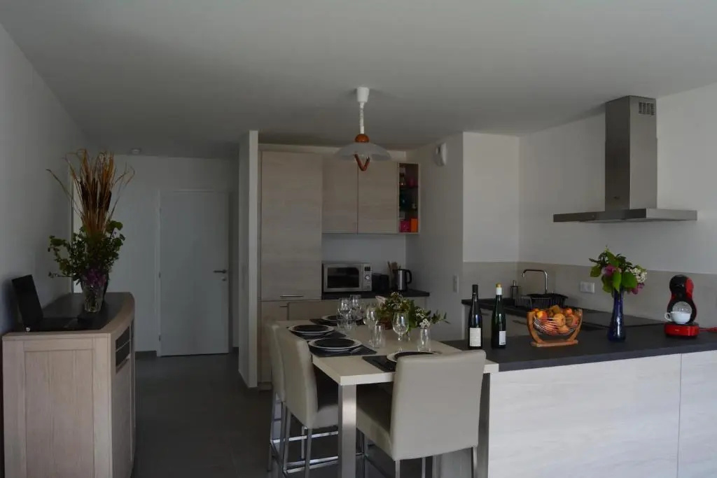 Le Tableau du Lac 507 - 2 bedrooms apartment with lake view terrace
