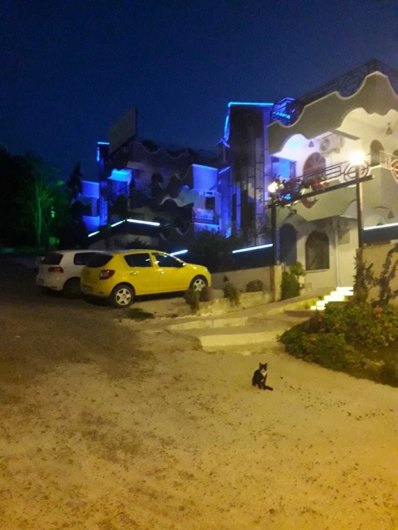 Sincer Otel