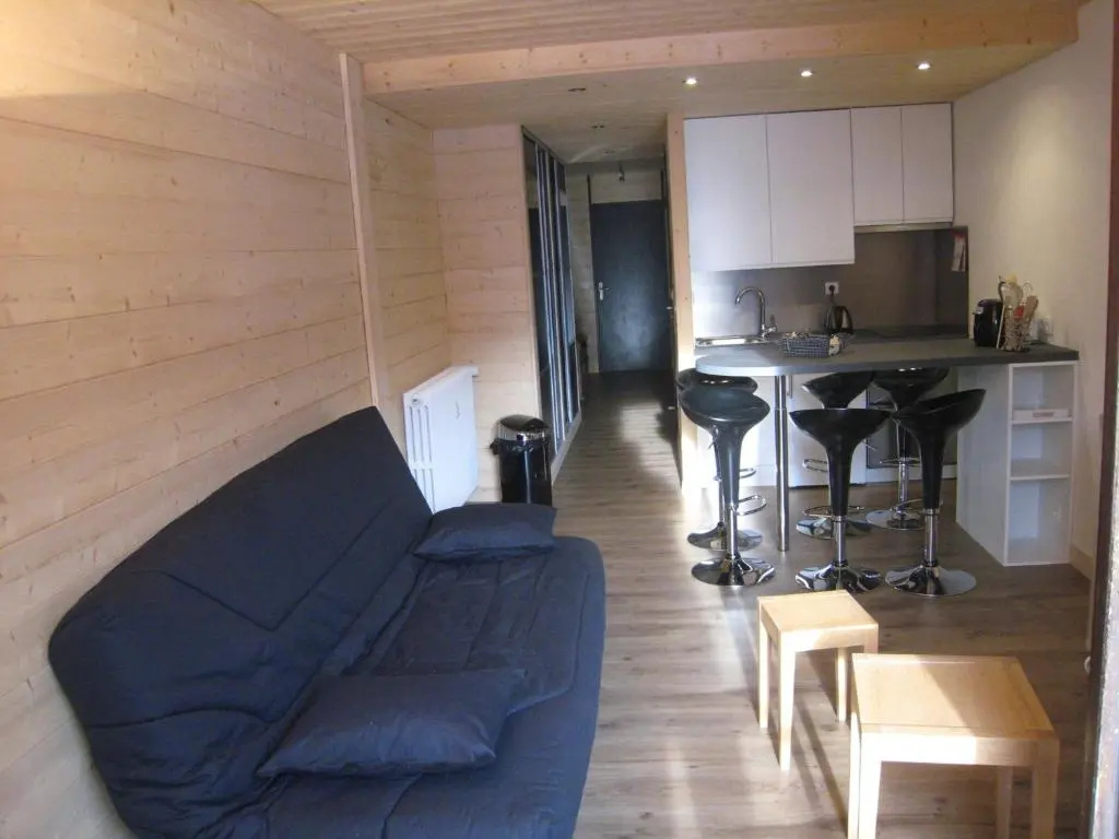 Appartement La Clusaz, 1 pièce, 4 personnes - FR-1-459-62