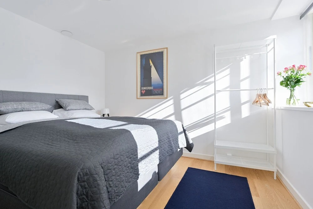 Beautiful 1 -bedroom Apartment in the Building From 1734 in Heart of Copenhagen