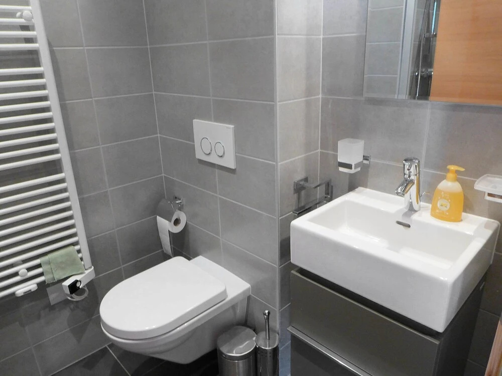 Apartment Rosablanche 205 by Interhome
