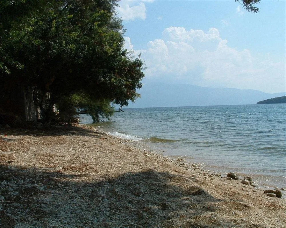 Vaya