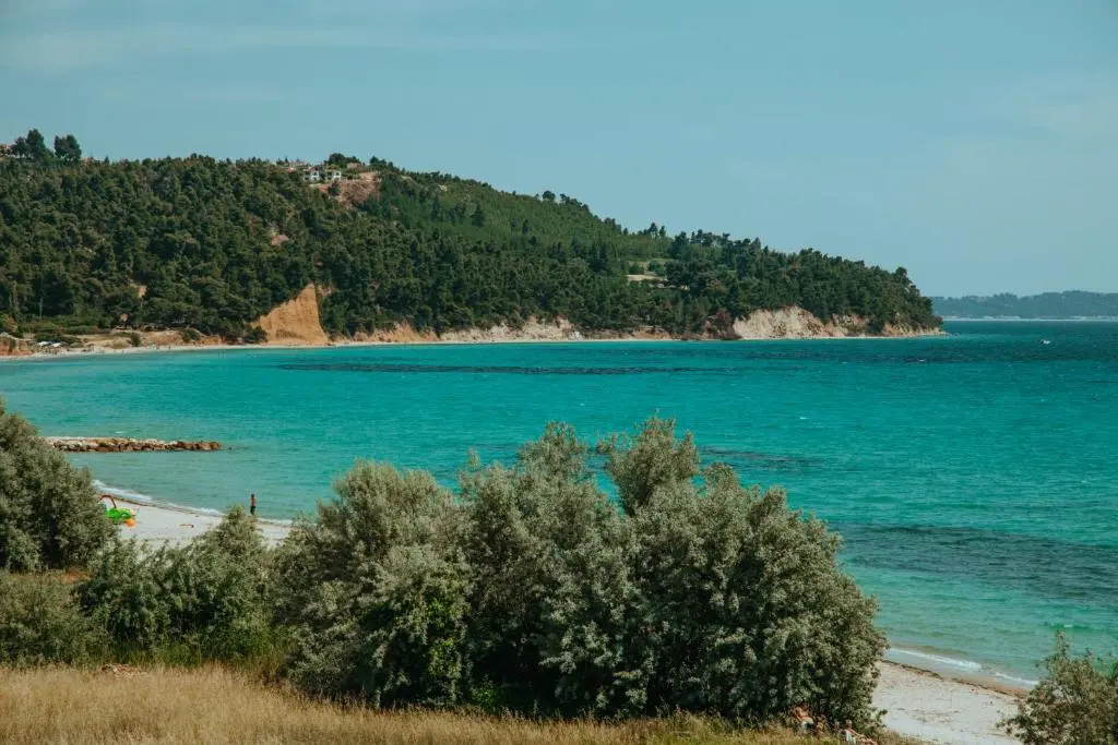 Forest house Near the sea