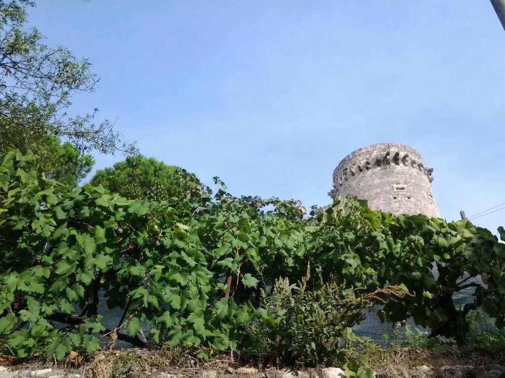 Valverde Guest House
