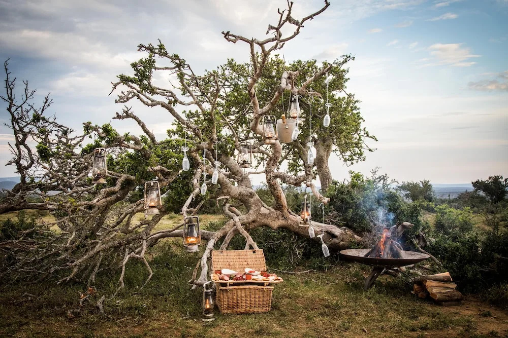 Kwandwe Private Game Reserve - Ecca Lodge