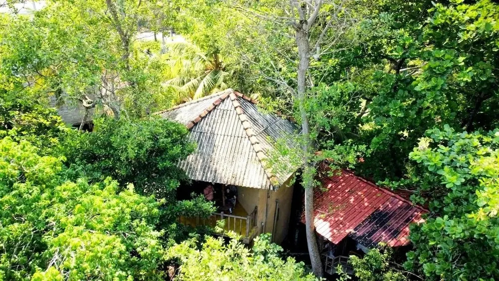 Seasons Four Jungle Treehouse